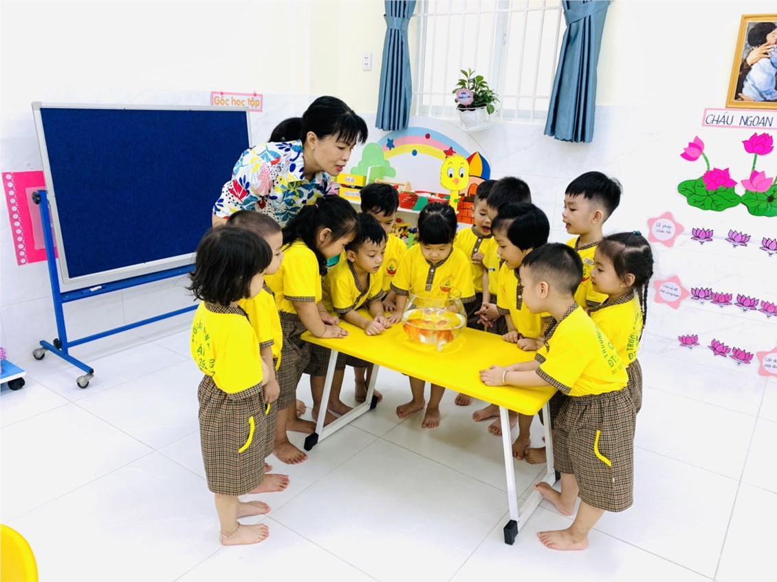 Ảnh đại diện